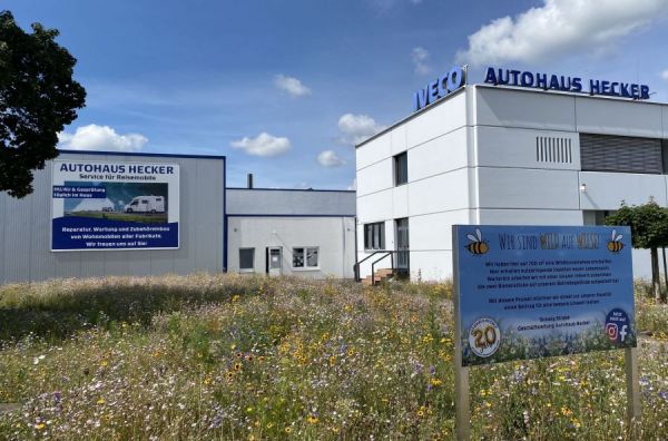 Große Wildblumenwiese auf dem Paderborner Betriebsgelände